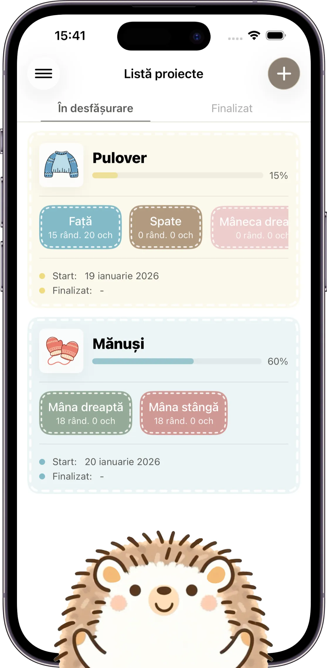 Captură de ecran a aplicației